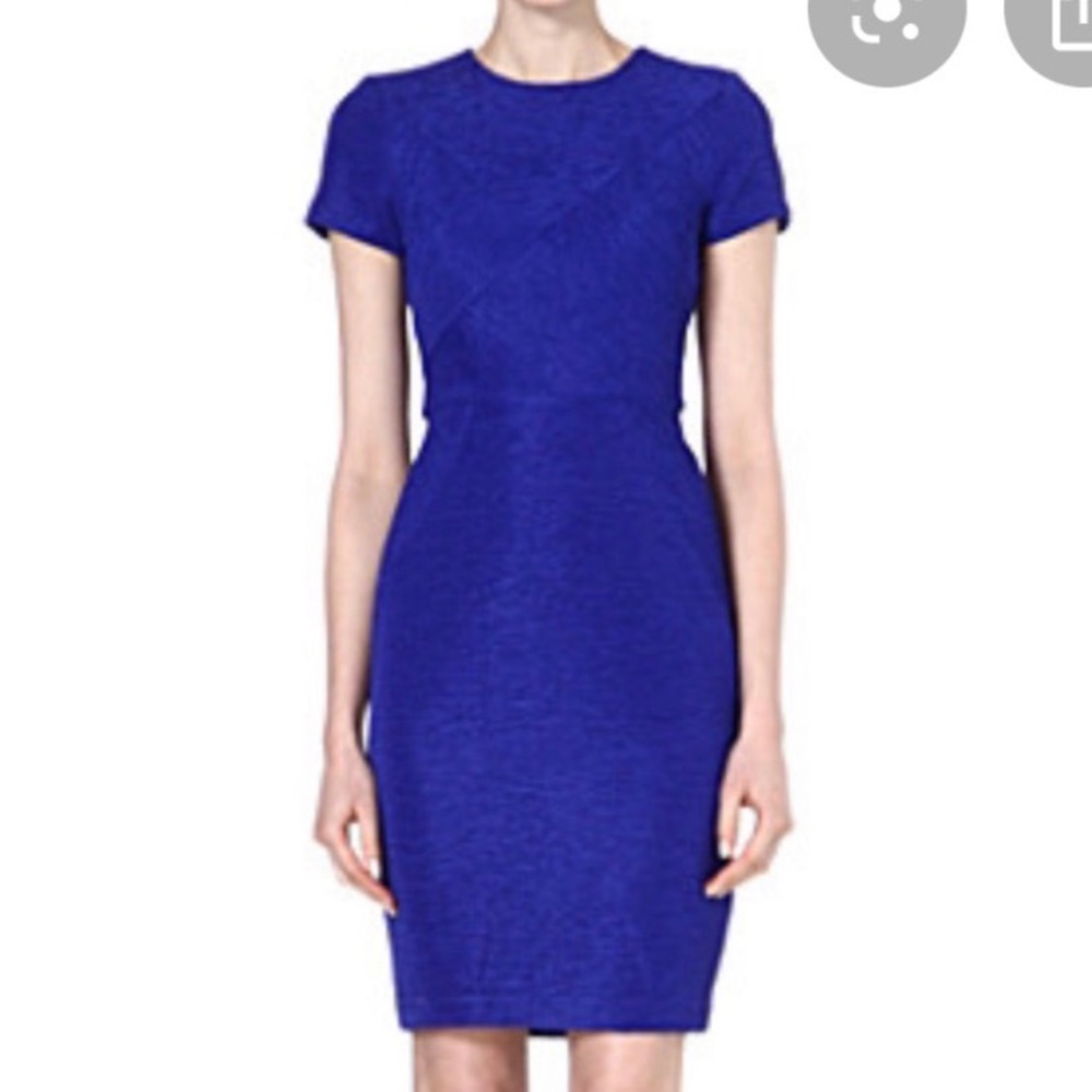 Ted Baker Nedeli Dress